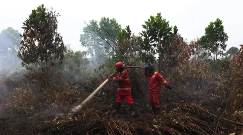 Status Darurat Asap Kalbar Diperpanjang hingga 20 September